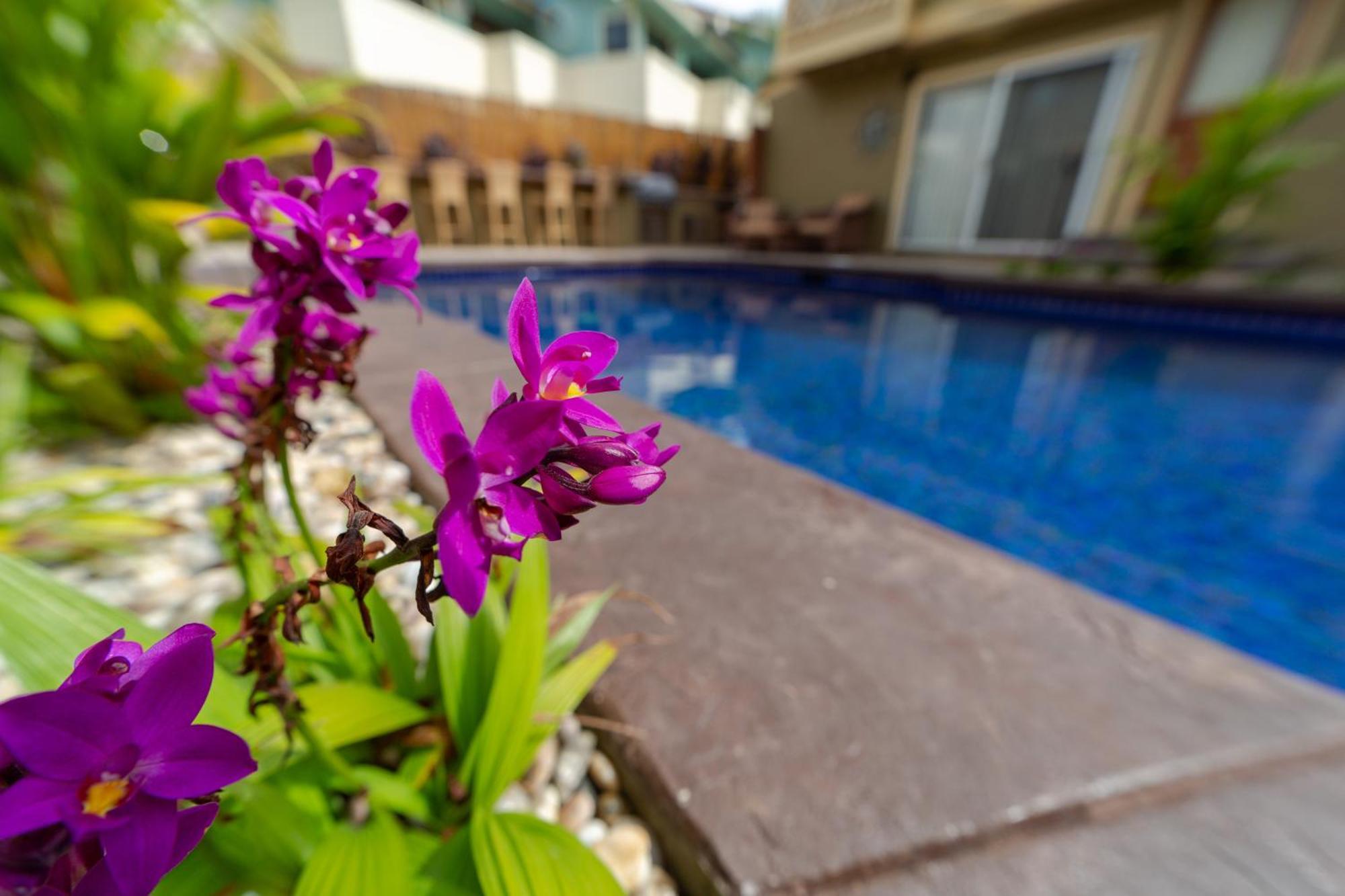 Orchid Suite In South Maui, Across From The Beach, 1 Bedroom Sleeps 4 คิเฮอิ ภายนอก รูปภาพ